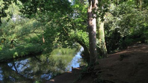 River Wensum near Marriott's Way