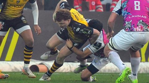 Zebre v Dragons