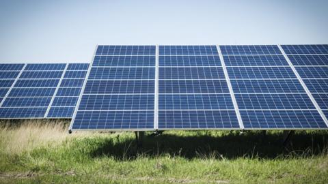 solar farm stock image