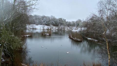 A lake is pictured on a snowy day. There are trees and vegetation around the lake with a snowy shore in the foreground. On the lake are a handful of birds. 