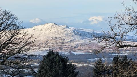 A snow mountain with bare trees in the forefront