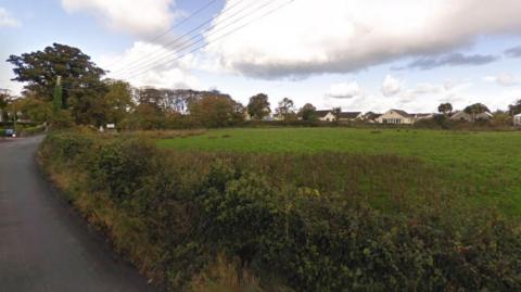 A verge lines a large green field, with trees and houses in the distance.