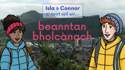 Beanntan bholcànach