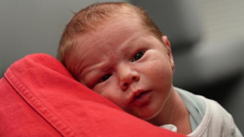 Baby Henry wide awake looking directly at the camera. He is resting on the arm of his grandmother who is wearing a red denim jacket. You can only see her arm. Henry is wearing a vest and a cream bodysuit. He has a tiny wrinkled forehead and is looking intruiged