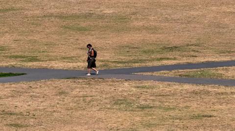 A person walks through a parched looking Greenwich Park, with brown patchy grass and tarmac paths, on Friday.