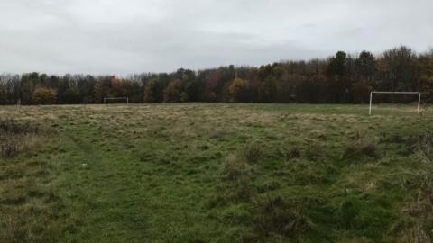 Fields off Friar Park Road
