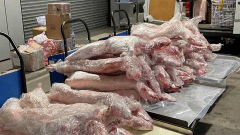 Sheep carcasses seized at the port of Dover