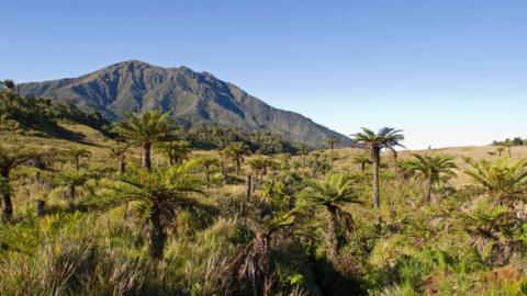 Grassland and mountains in Papua New Guinea