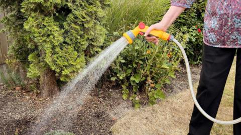 A person holding a hosepipe and watering a garden.