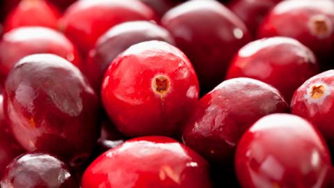 A close up image of cranberries