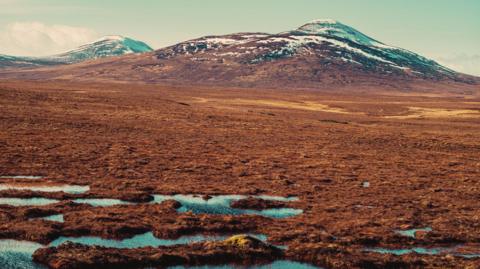 A view across a vast bog towards snow-capped hills