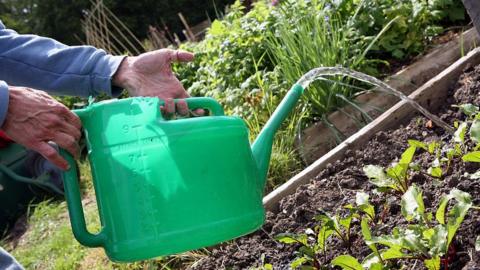 Watering can