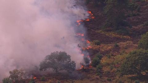 An aerial shot of the wildfire in Suffolk