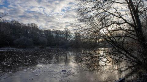 A tree leans over a frozen lake in Epsom, Surrey.