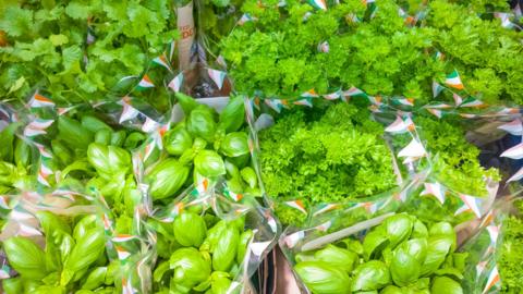 Range of potted herbs in a supermarket