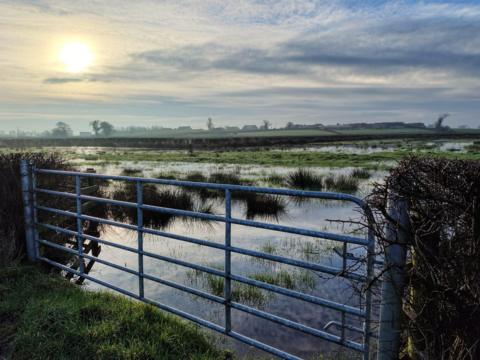Cattle gate in front of a flooded field 