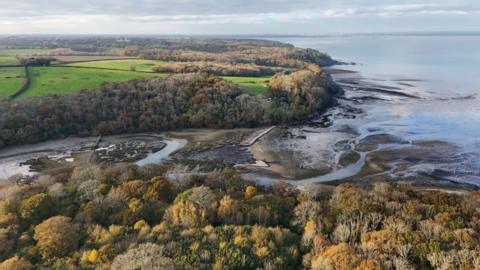 An aerial view of King's Quay - an area of coastline covered with trees and marshland. The tide is out.