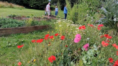 A group of three people gather around one of three raised beds cut into the grass of Downhorn Park. To the right there is a wildlife area with colourful poppies and other wildflowers