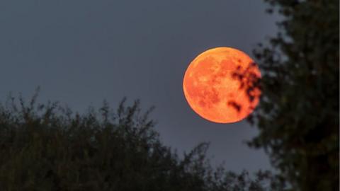 Red blood moon at blue twilight sky