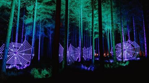 Woodland with large illuminated cobwebs strung between the trees.