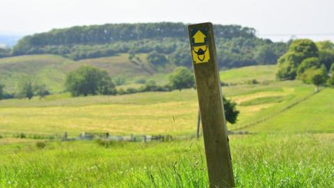 A brown post is leaning to the side and has a yellow arrow on it with a black Viking helmet with a yellow background. Rolling fields are beyond it with the sun shining down on them.