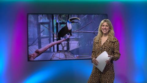 Jenny on the Newsround set