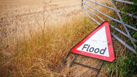 A discarded flood warning sign sits in a field of long dry grass