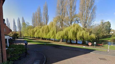 Part of a river bank with lots of trees and a bench. It is a sunny day and the sky is blue