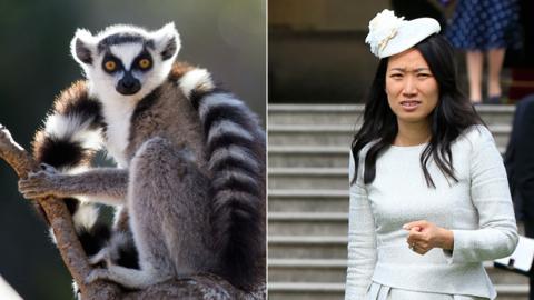 A lemur and Lucia Guo