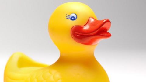 A rubber duck