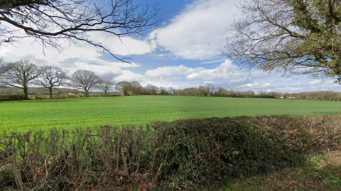 Green land beyond a hedge with trees in the distance