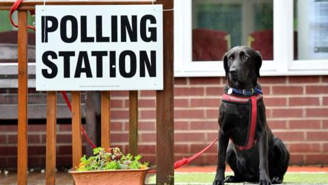 A dog sat outside a polling station