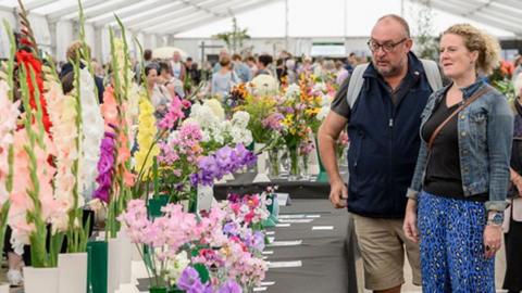 Amateur competition entries on display in the Bloomin’ Big Marquee, showing a long table of flowers, mainly gladioli, being admired by a man with glasses and a navy fleece and a woman with curly blonde hair in a denim jacket