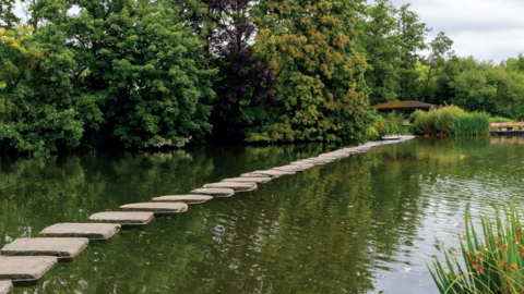 An artist's impression of how the stepping stones at a lake in Martin Mere Wetland Centre will look when it is complete. It shows dozens of stepping stones across a lake with trees lining the banks of the water.