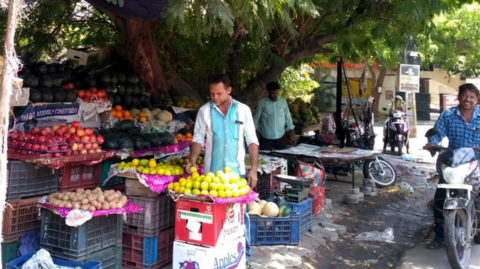 Street vendor under the shade of a tree (Image: Sukanya Basu)