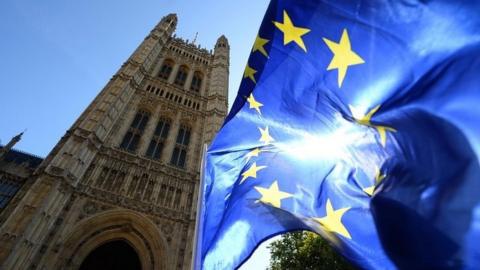 EU flag flying outside Parliament