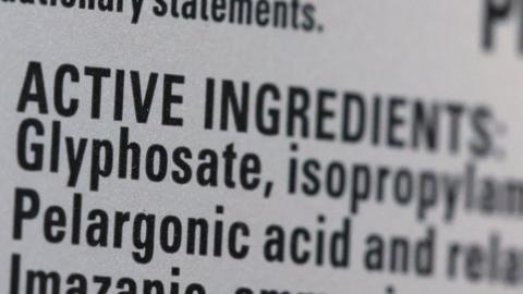 Pesticide ingredients