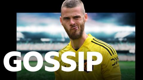 Spanish keeper David de Gea