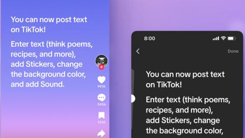 Screenshot of TikTok text.