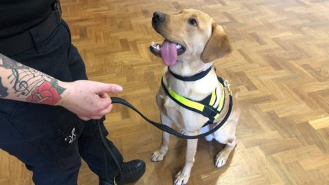 Kirsty Armstrong and her sniffer dog, Chance