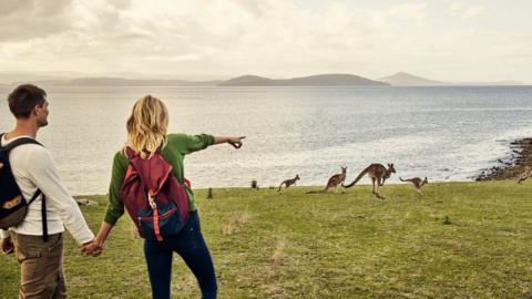 A tourist couple point to kangaroos near water