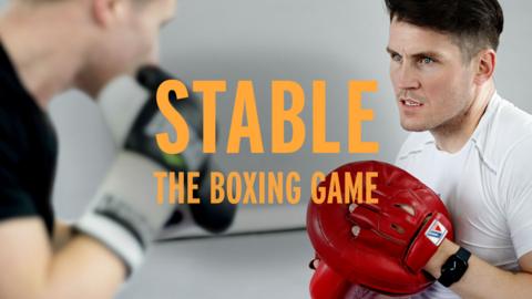 Stable: The Boxing Game