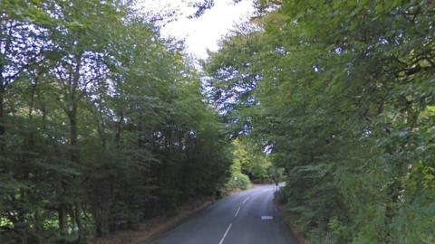 Trees on Braaid Road