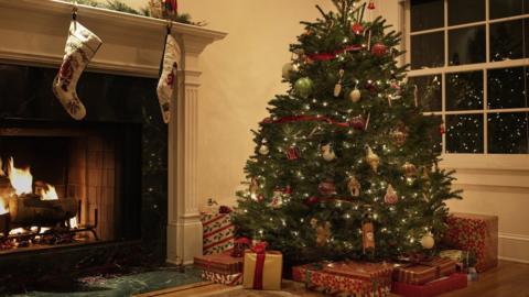 Christmas tree inside house