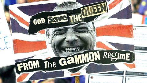 A placard using the term "gammon" during an anti-Brexit protest