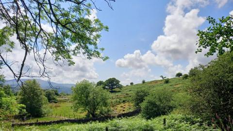 Green fields and trees in in the foreground with blue skies and white clouds