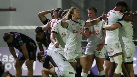 Sharks players celebrate