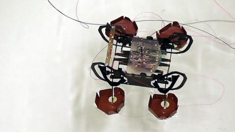 Harvard's HAMR robot