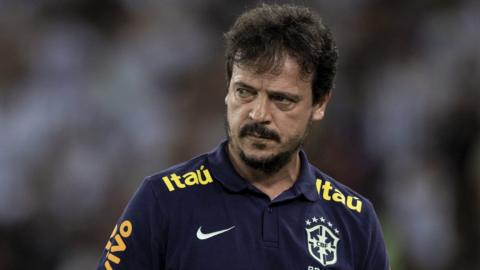 Brazil interim coach Fernando Diniz