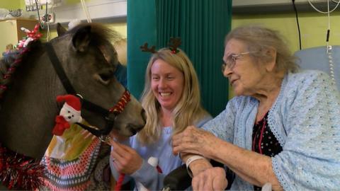 Miniature horse visits hospital